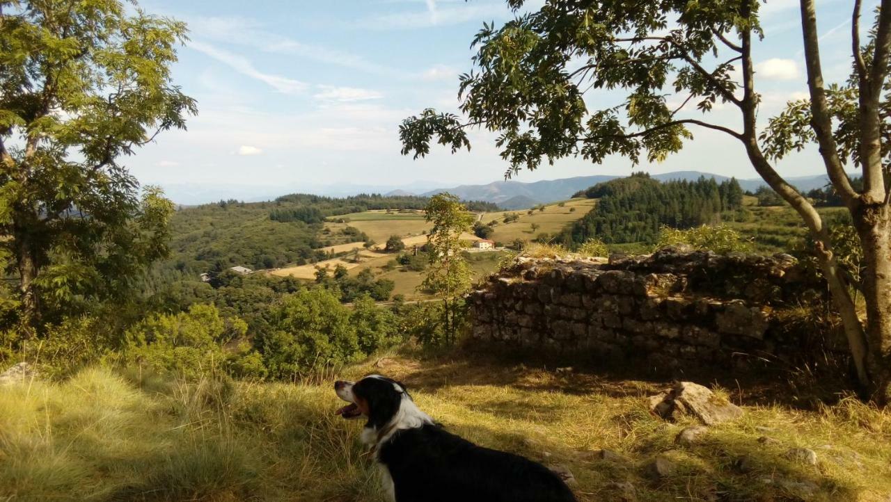 Les Soleillas Pour Votre Zen'Ittude Chalencon Εξωτερικό φωτογραφία